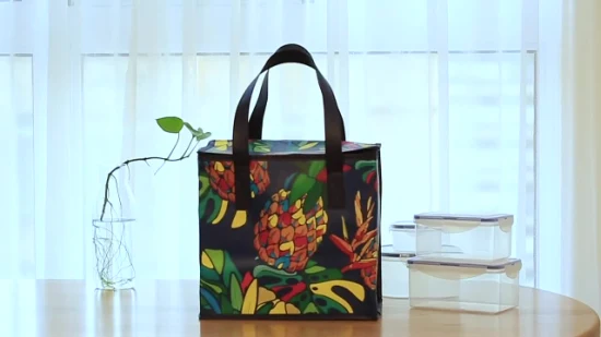 Borsa in tessuto non tessuto in PP Borsa ecologica personalizzata in fabbrica Borsa termica per alimenti riutilizzabile in tessuto non tessuto impermeabile Borsa per la spesa Borsa termica per il pranzo